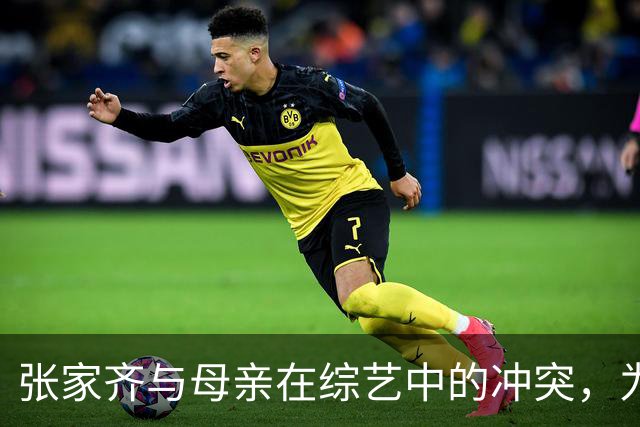 张家齐与母亲在综艺中的冲突，为何引发全网热议？